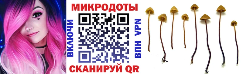 Купить закладки  Себеж  Галлюциногенные грибы Cubensis 